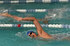 Swimming vs Babson  Wheaton College Swimming vs Babson College. - Photo By: KEITH NORDSTROM : Wheaton, Swimming, Babson